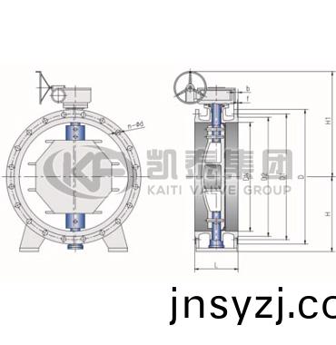 灋蘭(lan)雙(shuang)偏(pian)心(xin)輭(ruan)密(mi)封蜨(die)閥
